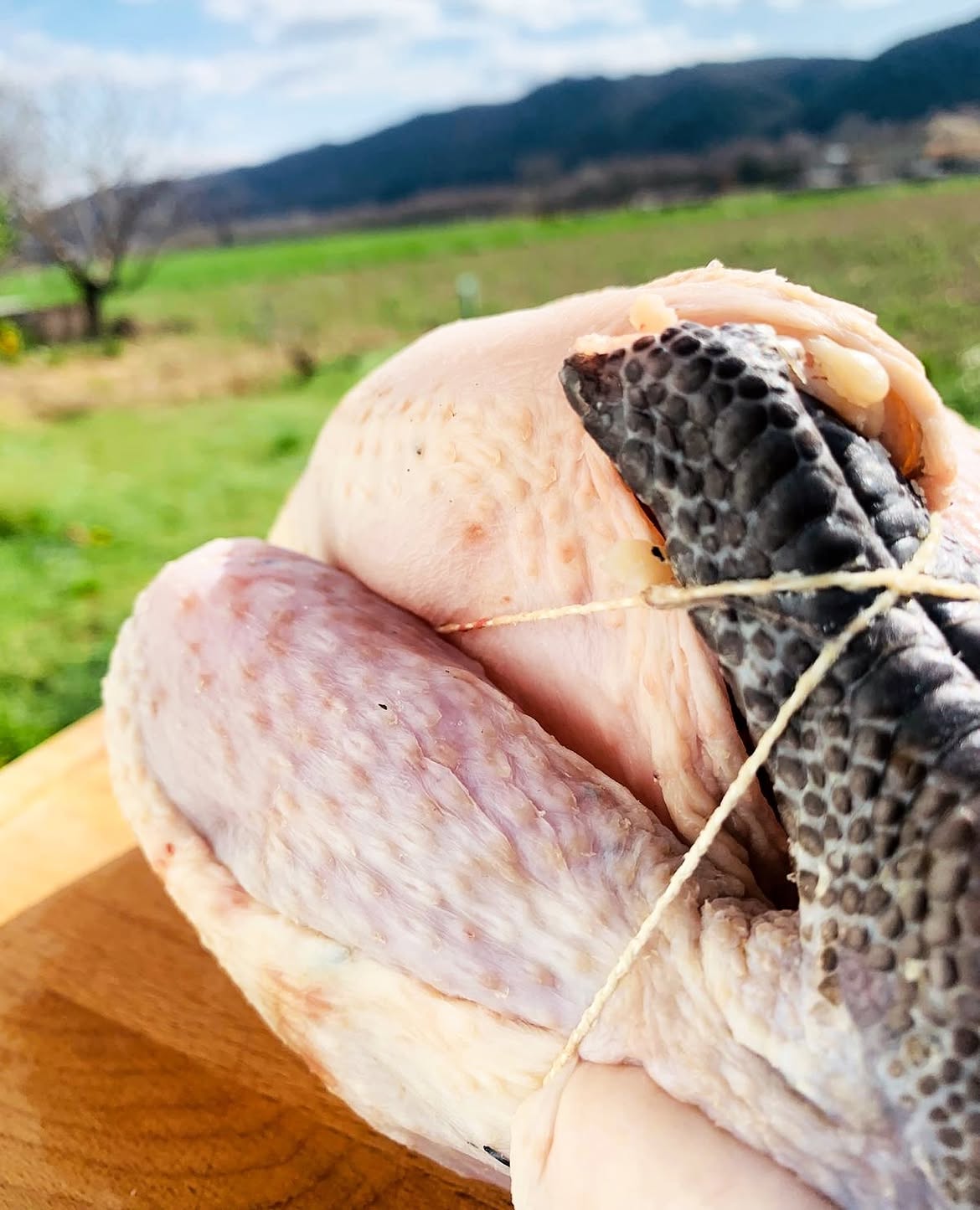 Volaille fermière pattes noires Label Rouge